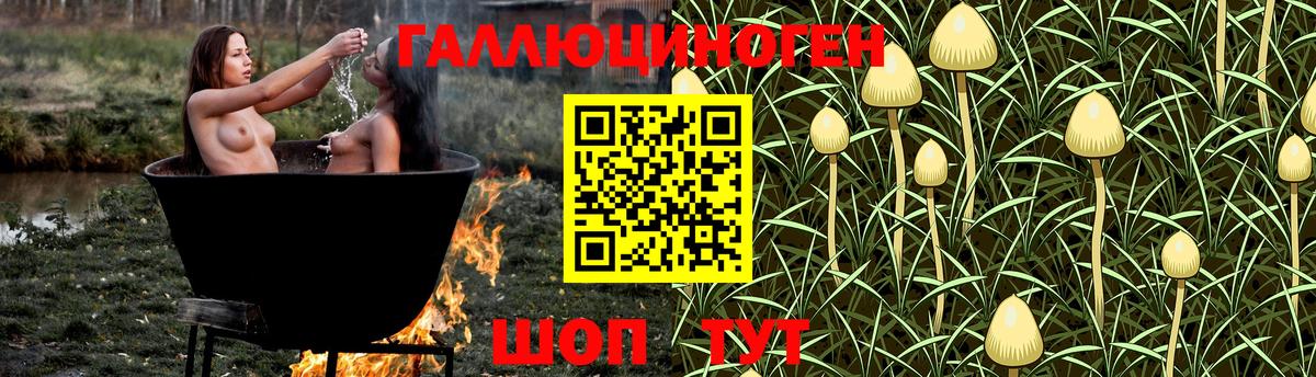 Клин  купить   Вход с VPN  Псилоцибиновые грибы ЛСД 
